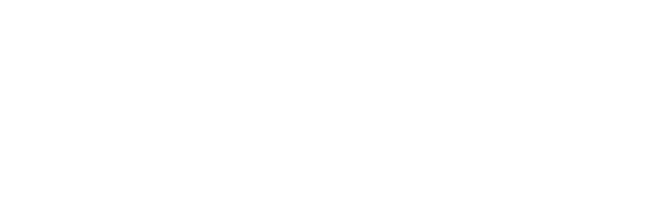 Business Accelerator Pro